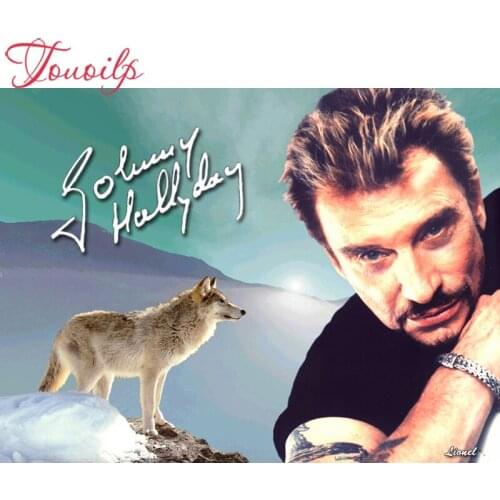 DIY johnny hallyday Needlework Diamond Painting Cross Stitch Diamond Embroidery Full square Diamond Mosaic Crystal Home Decor