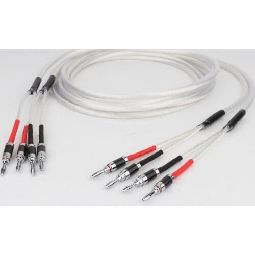 Pair HIFI Silver-plated Speaker Cable Hi-end OFC Speaker Wire For Hi-fi Systems Banana plug Speaker Cable