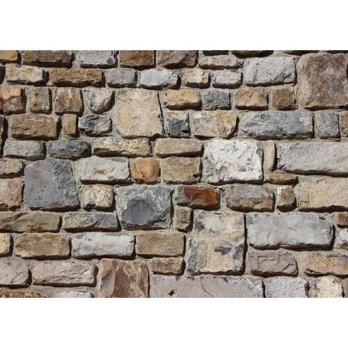 Irregular Brick Wall Vinyl Photo Backgrounds Photographic Backdrops For Backgrounds for Children Baby Photo Digital Photo Studio