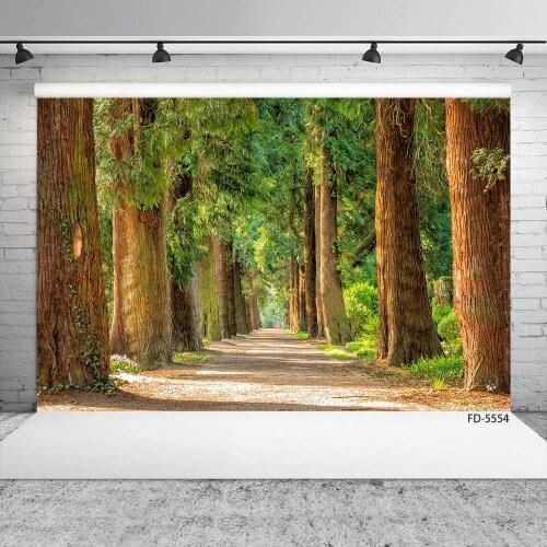 Grove Path Plant Photography Backdrops Computer Printed Fond Background for Baby Children Portrait Pets Photocall Photo Studio