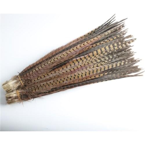 Hot Sale 100pcs/lot beautiful pheasant feathers 50-55cm 20-22inch Craft celebration Accessories Party DIY plumes