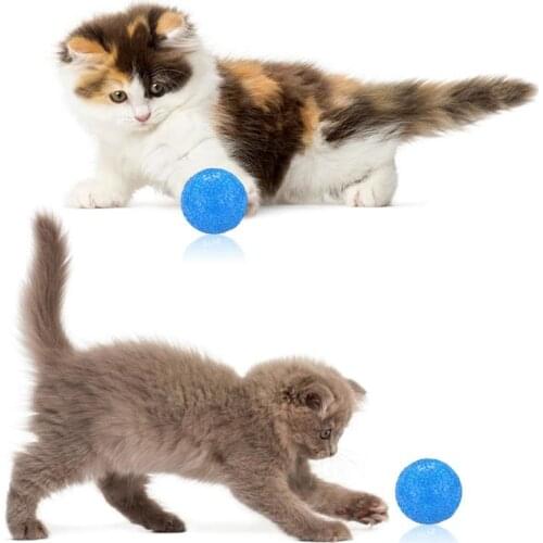 Funny Cat Toy Ball Plastic Cat Interactive Teasing Toy Creative Kitten Training Exercise Ball Cats Toys Supplies Random Color
