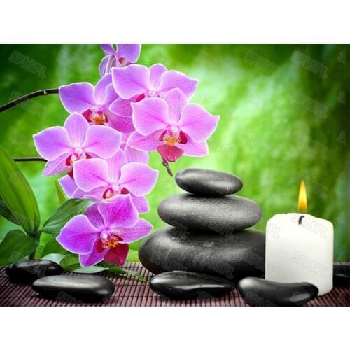 Diy Diamond Painting Natural Biological Plants Butterflies Flowers Beautiful Flowers with Zen Buddhist Flowers Paintings