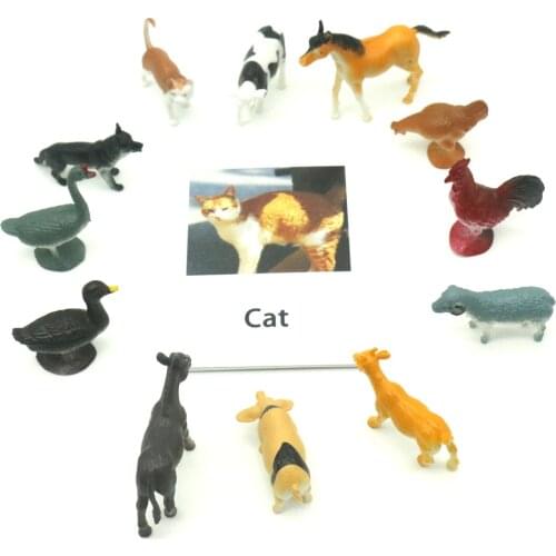 Montessori Gestures English Animal Flash Card Pocket Cards Learning Educational Toys English Word Picture Match Game Baby Gift