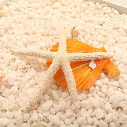Natural 5-12cm/10-12cm White Finger Starfish Sea Stylish Home Hair Wedding Decor and Craft Project