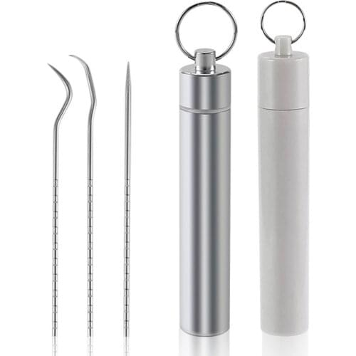 Stainless Steel Toothpick Set Metal Flossing Tools With Portable Toothpick Holder Outdoor Household Travel Seal Storage Containe