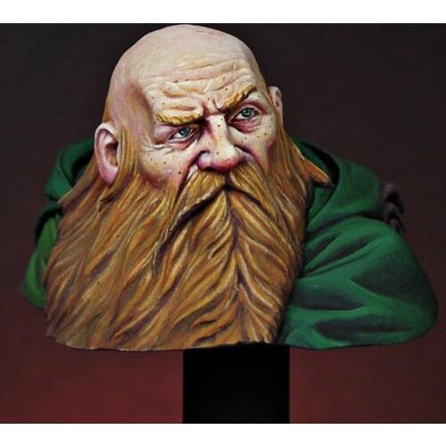 1/16 Resin Model bust GK Random Encounter Unassembled and unpainted kit