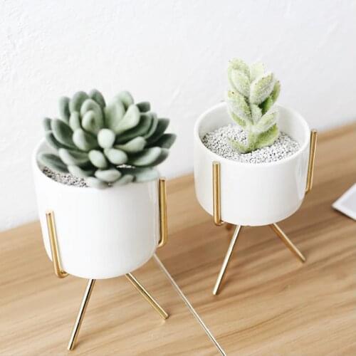 Metal Flower Plant Stand Rack Holder with Ceramic Flowerpot for Succulent Planters Flower Home Tabletop Desk Decor