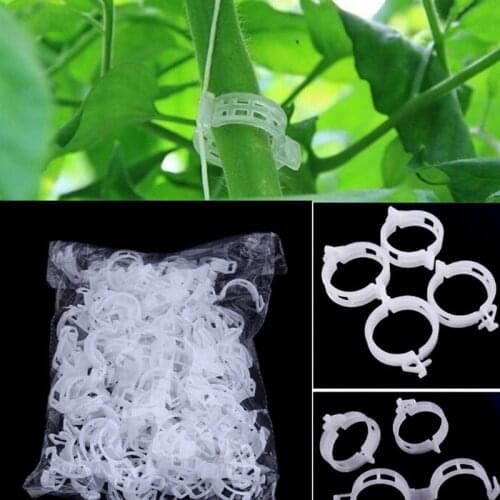 100pcs Veggie Garden Plant Support Clips For Trellis Twine Greenhouse Wholesale