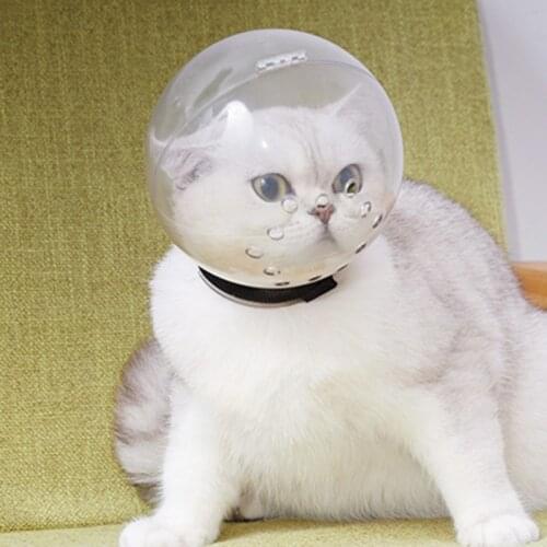 Pet High Quality And Safety Breathable Cats Anti-licking Injection Bite Space Head Cover