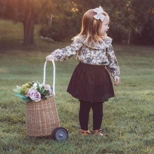 0-4T Newborn Baby Girl Clothing Toddler Kids Floral Ruffle Long Sleeve Tops skirt Dress set Cute Princess Outfits costume
