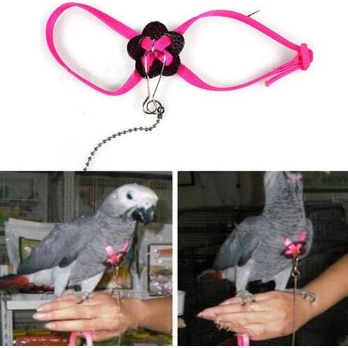 Pet Lead Leash Bird Harness African Grey Adjustable Outdoor Flying Anti-bite Parrot Bird Harness Leash Training Traction Strap