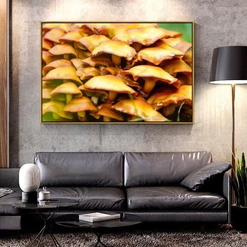 Artcozy Oil Canvas Painting mushroom For Home Decoration Wall Art