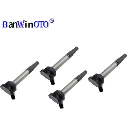 Banwinoto Ignition Coils