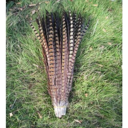 Wholesale 500 pcs / lot beautiful pheasant tail feather length 45-50 cm/18-20 inch DIY Feather decoration
