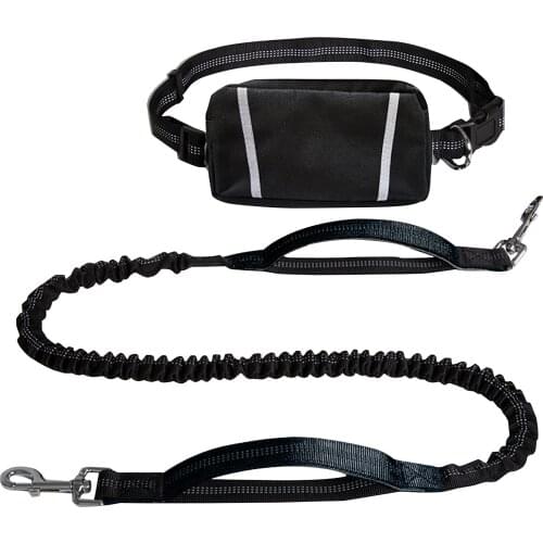 Pet Dog Leash Leading Rope Bum Bag Kit, Buckle Strapped Jogging Elastic Buffer Leash Lead with Puppy Toy Ball Water Bottle Pouch