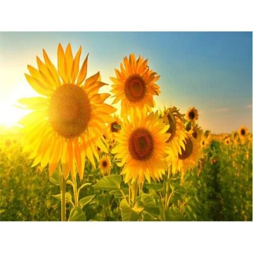 Flower Sunflower Printed Water-Soluble Canvas 11CT Cross Stitch Patterns DIY Embroidery DMC Threads Craft Painting Mulina
