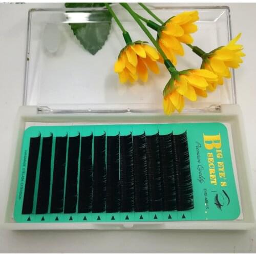 L Curl Silk Individual lash Flat Lashes Extensions Factory Supplied large Stock Immediate Shipping Mix length All Size Free ship