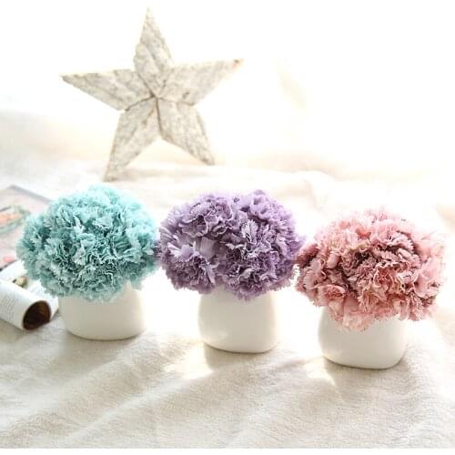 1 Bouquet/6pcs Silk Carnation Artificial Flowers for Bride Hand Blooming Peony Fake White Flowers For Party Home Wedding Decor