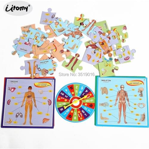 DIY 3D Human Body Structure Puzzle Board Game Paper Jigsaw Floor Puzzle Educational Toys For Children 1-4 players