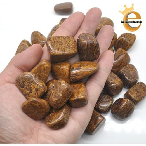 Natural Fossil Elephant Skin Jasper Crystal Tumbled Bulk Healing Mineral Specime Gemstones Gem Raw Aquarium Decoration Gift