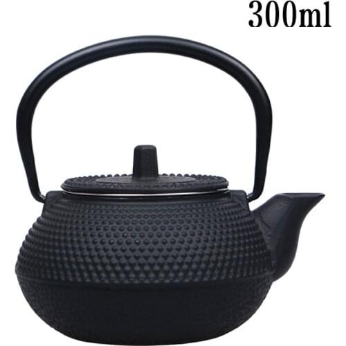 Japan Cast Iron Teapot Tetsubin Kettle Tea Pot Drinkware Tools 300ml Kung Fu Pot with tainless Steel Filter