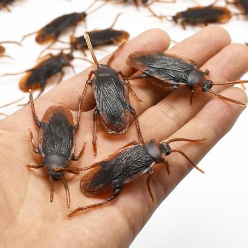 10pcs Simulation Fake Cock Cockroach Rubber Roach Special Lifelike Model Bug Roaches Toy Prank Funny Trick Joke Toys