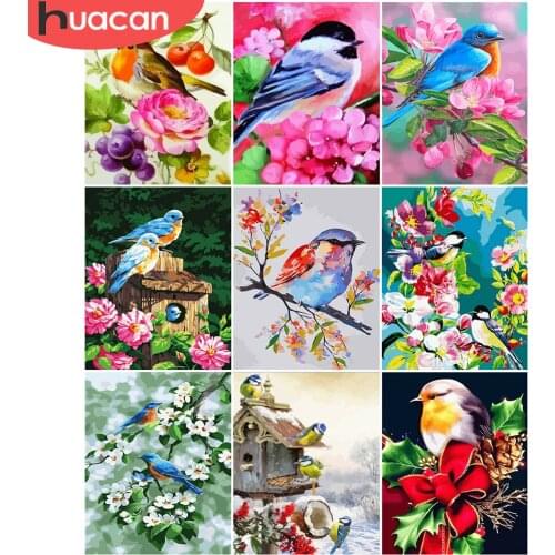 HUACAN DIY Bird Painting By Numbers Flowers Coloring By Number Hand Painted Drawing Cavnas For Adult Modern Wall Art