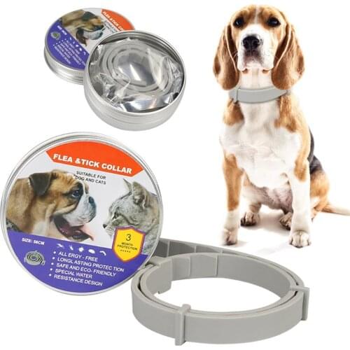 Dog Cat Anti Lice Flea Mite Tick Collars Small Medium And Large Puppies Anti-Scorpion Pets Insect Repellent Collar Pet Supplies