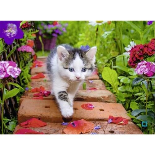 5d Diy Diamond Painting Cute kitten Diamond Embroidery Animal Full Square Round Drill Mosaic Stickers Wedding DecorationsZP-938