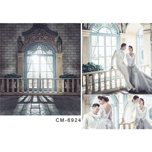 TR 8X8FT Dawn Palace Photography Backdrop European Garden Window Sill Wedding Background for Photography Studio