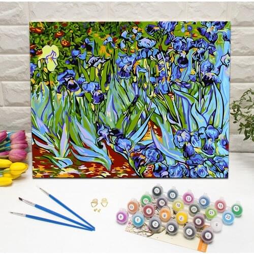 Framed Vincent Van Gogh Irises Oil Painting by Numbers Flower Hand Painted Canvas Wall Art For Living Room Decoration 40x50cm