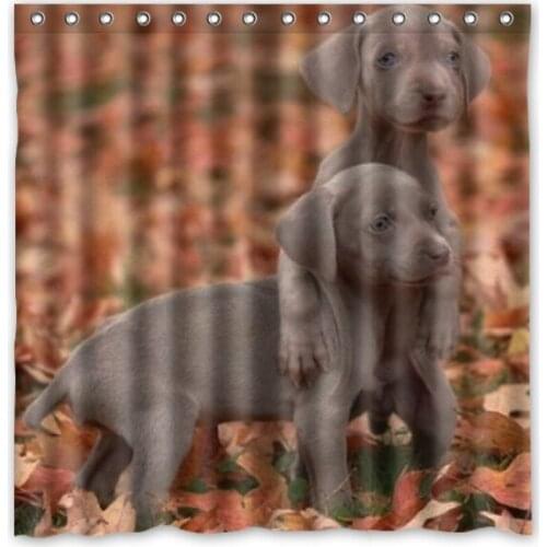 Custom Waterproof Bathtub Screen Weimaraner Mildewproof Bathroom Shower Curtain With 12 Hooks Decorative Spa Shelter 180*180cm