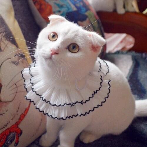 2019 Pet Jewelry Accessories Cat puppy collar Handmade Yarn side pet cat dog collar bib saliva towel