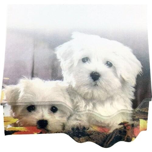 4A 3D Shape Printed Sticky Notes,Kawaii Cute Sticky Notes,Printed With Havana Dog,Self-Stick Notes,3.35 x 3.75 Inches,4A 8066