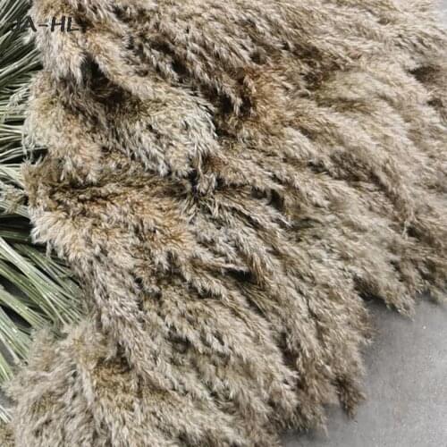 5PCS 80CM Natural Reed Dried Flower Big Pampas Grass Wedding Flower Decoration
