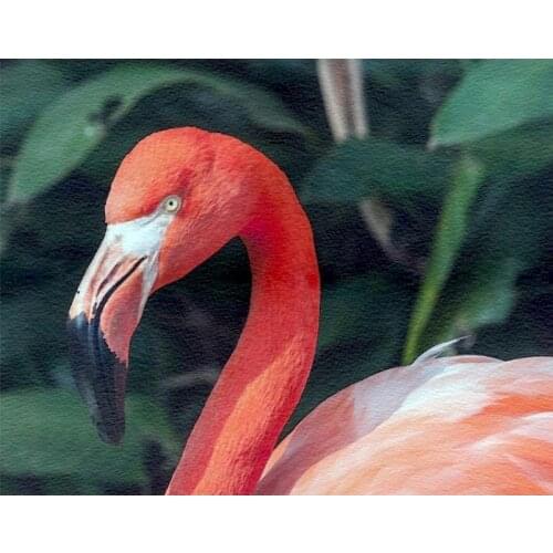 PhotoCustom 40x50cm Oil Paint By Numbers DIY Flamingo Painting By Numbers On Canvas Frameless Animals Draw Number Hand Painting