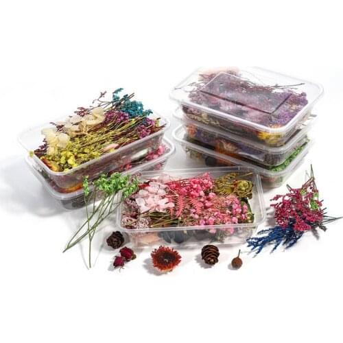 1 Box Colorful Dried Flower Dry Plant DIY Candle Epoxy Resin Pendant Jewelry Making Craft Decor Material Accessories