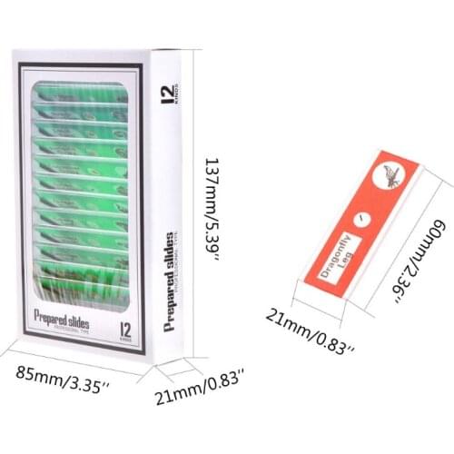 48 Pcs Prepared Microscope Slides Specimen Animals Insects Plants Flowers Sample