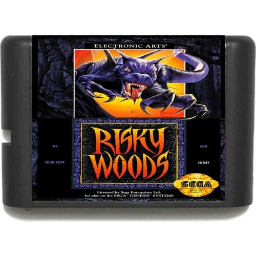 Risky Woods 16 bit MD Game Card For Sega Mega Drive For Genesis