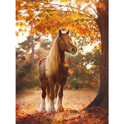 R5433 11CT/14CT/18CT/25CT/28CT Oil tea patterns Counted Cross Stitch DIY Cross Stitch Kits Embroidery Needlework Sets