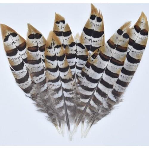Reeves Venery Pheasant Tail Feathers 5-15cm/2-6" Campanula Decor Clothing Feathers for Crafts Jewelry Making carnaval assesoires