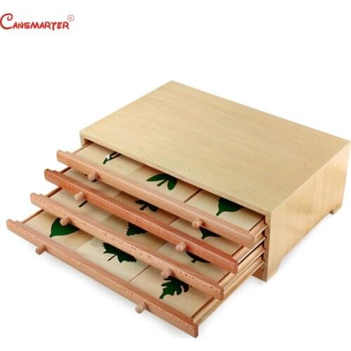 Botany Leaf Cabinet Puzzles Wooden Box Montessori Biological Teaching Toys Education Early Kids Preschool Materials
