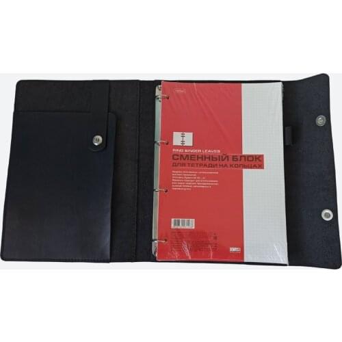 ChesareC Diaries And Notebooks