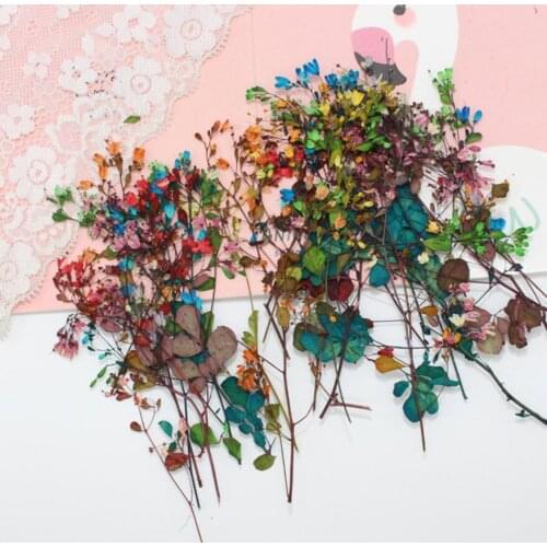 120pcs Pressed Dried Flower with Stalks Filler For Epoxy Resin Jewelry Making Postcard Frame Phone Case Craft DIY