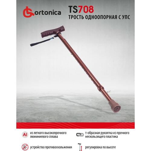 Трости Ortonica China At AliExpress