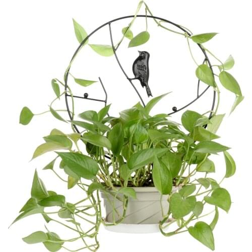 Metal Climbing Frame Flower Pot Decor Stand Gardening Vines Climbing Rack White Ring Hydrangea Green Tool Support