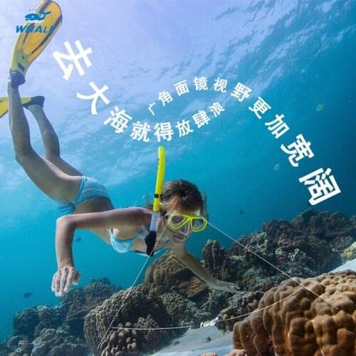 Adult Mens And Womens Swimming Goggles Anti-fog Glasses Diving Equipment Silicone Diving Masks