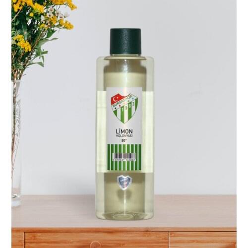 Bursaspor Decor Items