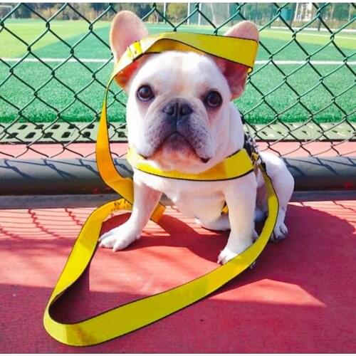 Yellow Designer Dog Harness Leash Set Fashion Letter Print Large Dog Harnesses for Pitbull Yorkshire Pet Accessorios A223